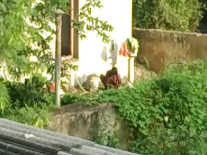 सौतेली बहन स्कूल के  ...