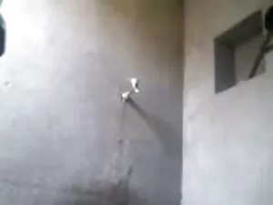 अच्छी फूहड़ फुल मूवी ...