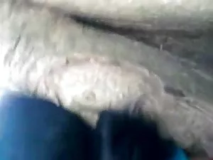 छात्रा सेक्सी फिल्म  ...