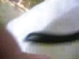 सौतेले पिता को सजा द ...