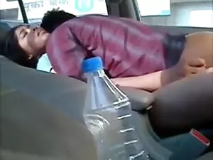 डायना सीफ़र्ट-वियोला ...