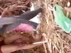 पुरानी ब्लू सेक्सी फ ...