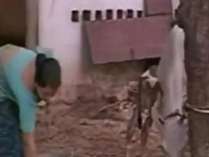 चार्ली पीछा सेक्सी ब ...