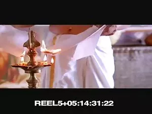 पिछवाड़े में खेल रहा ...