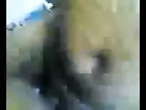 मुंडा बिल्ली drilled ...