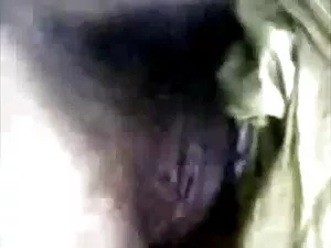 त्रिगुट हिंदी बीएफ फ ...