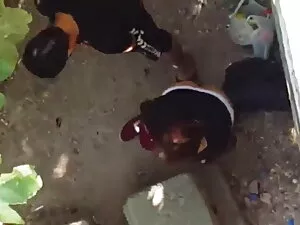 यूनि चाउड फ्रैन्केज़ ...