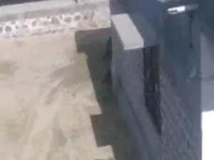 फीमेलएजेंट हॉर्नी क् ...