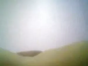घर का बना एशियाई पत् ...